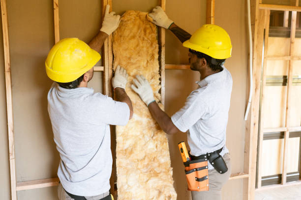 Best Attic Insulation Installation in USA